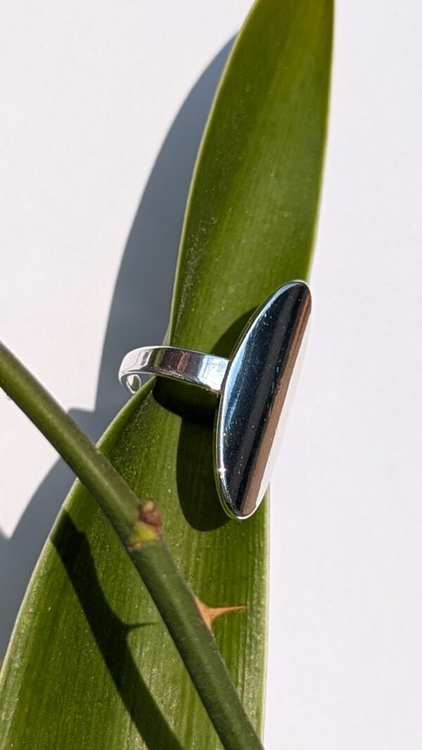 PXL_20250402_221715666.PORTRAIT.ORIGINAL Iris