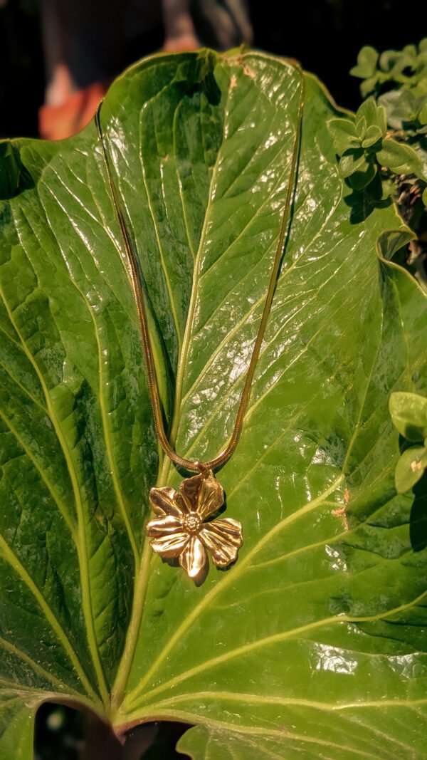 PXL_20250402_223122836.PORTRAIT_Original Girasol