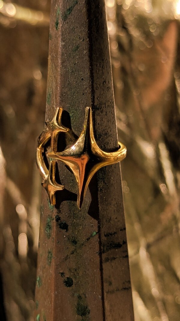 PXL_20250630_150252854.PORTRAIT.ORIGINAL focus