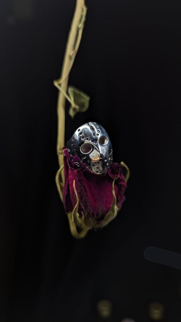 WhatsApp Image 2026-02-18 at 10.43.38 PM Mors